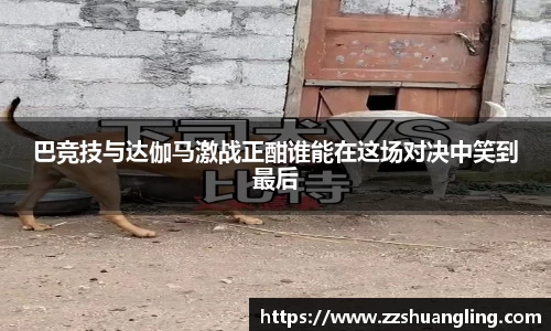 九游体育
